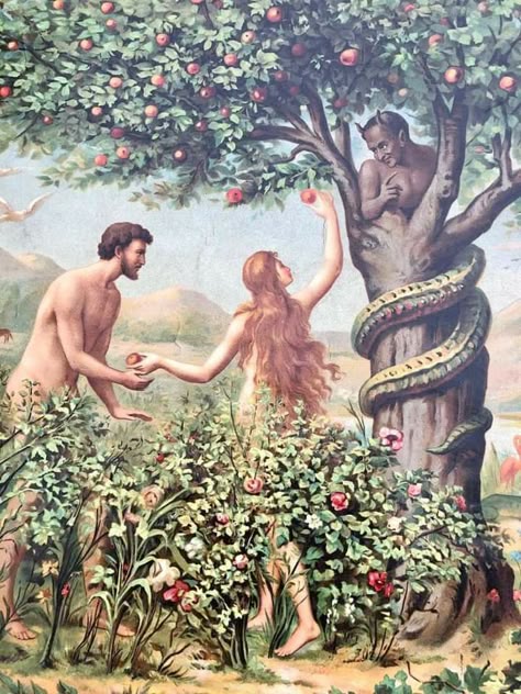 Evolution = science.